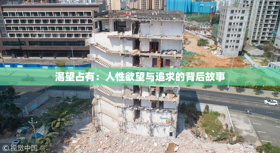 渴望占有：人性欲望与追求的背后故事