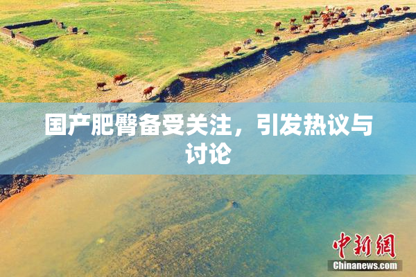 国产肥臀备受关注，引发热议与讨论