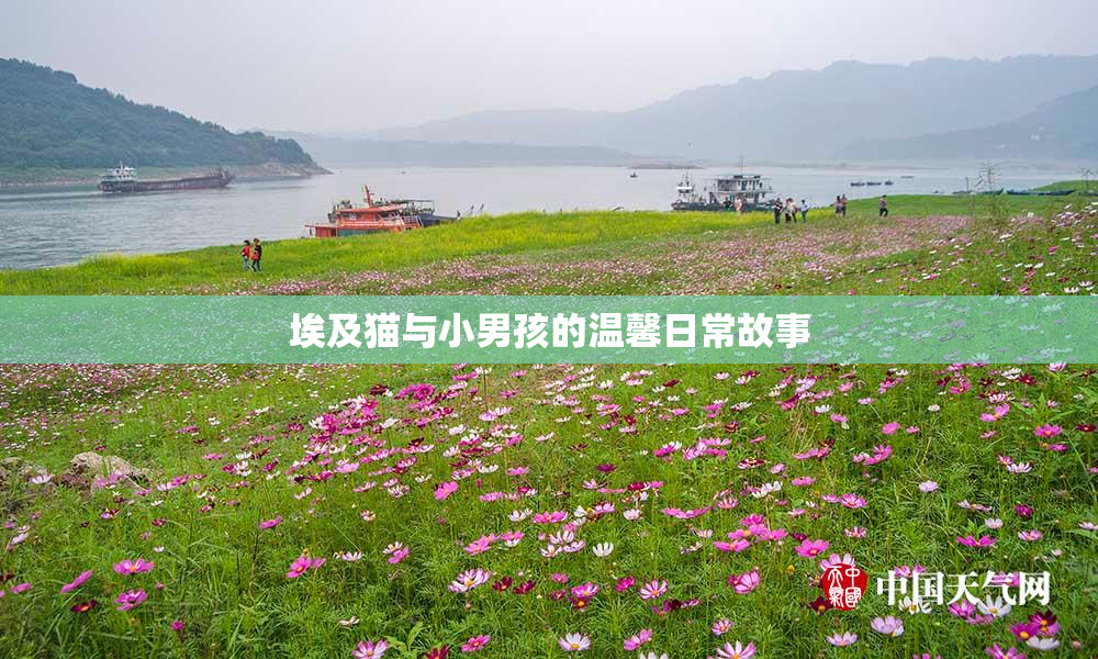 埃及猫与小男孩的温馨日常故事