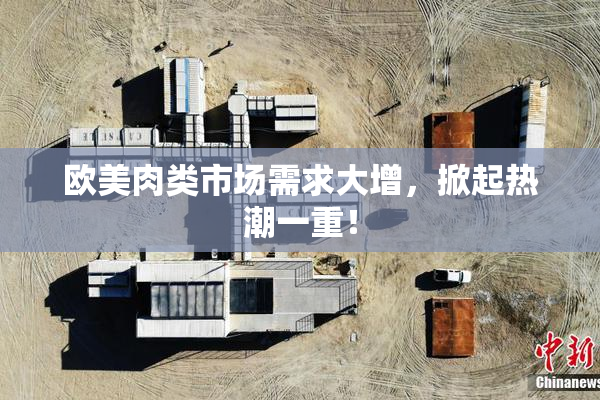 欧美肉类市场需求大增，掀起热潮一重！