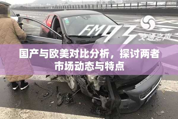 国产与欧美对比分析，探讨两者市场动态与特点