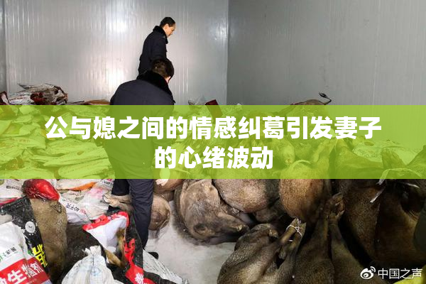 公与媳之间的情感纠葛引发妻子的心绪波动