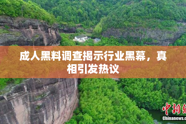 成人黑料调查揭示行业黑幕，真相引发热议