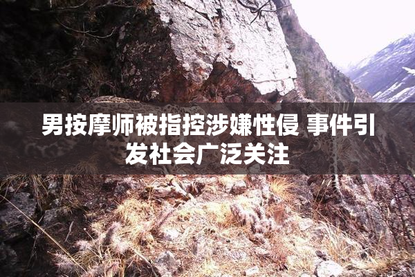 男按摩师被指控涉嫌性侵 事件引发社会广泛关注