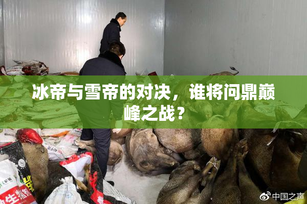 冰帝与雪帝的对决，谁将问鼎巅峰之战？