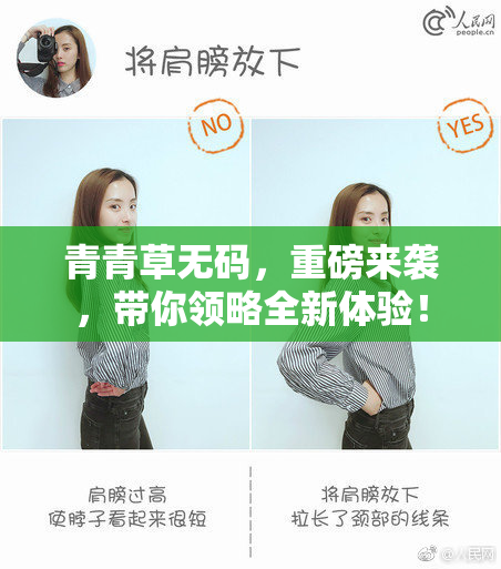 青青草无码，重磅来袭，带你领略全新体验！