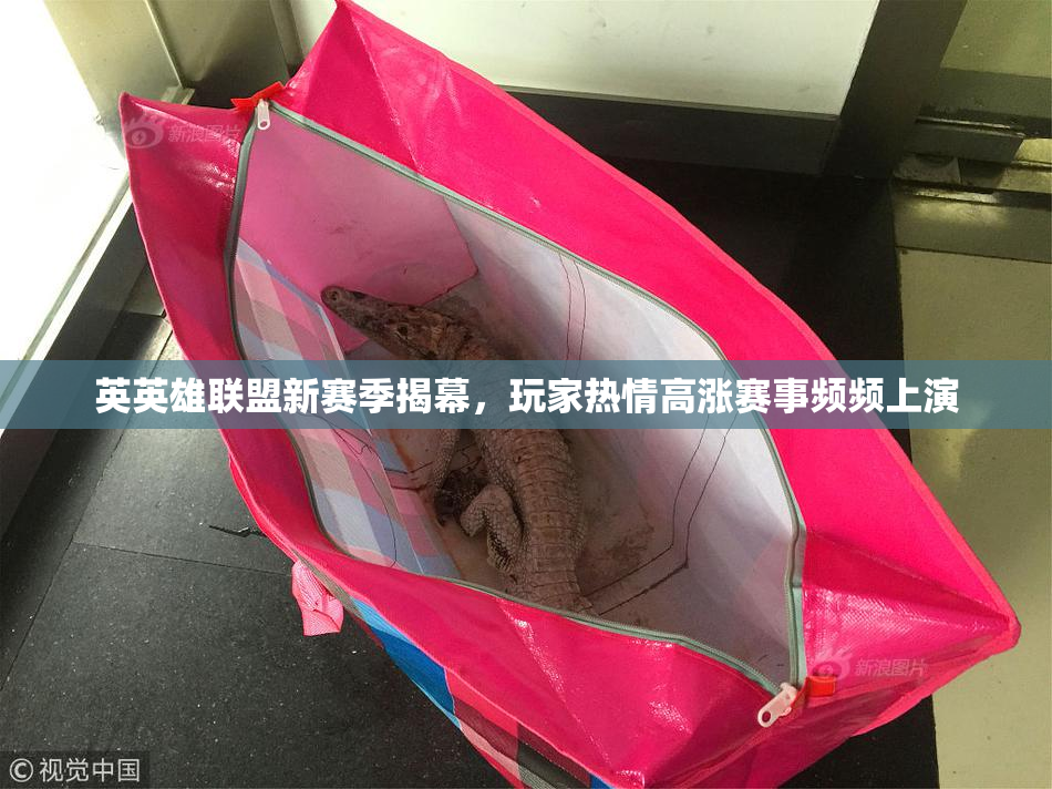 英英雄联盟新赛季揭幕，玩家热情高涨赛事频频上演