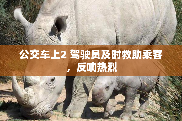 公交车上2 驾驶员及时救助乘客，反响热烈
