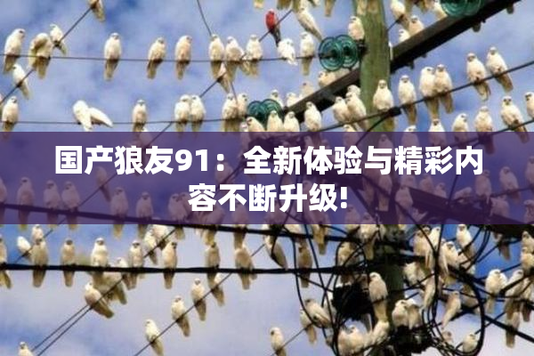 国产狼友91：全新体验与精彩内容不断升级!