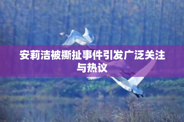 安莉洁被撕扯事件引发广泛关注与热议