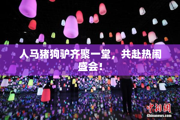 人马猪狗驴齐聚一堂，共赴热闹盛会！