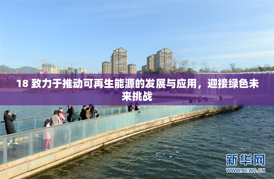 18 致力于推动可再生能源的发展与应用，迎接绿色未来挑战