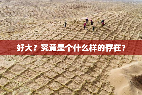 好大？究竟是个什么样的存在？