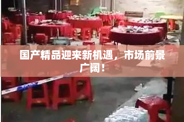 国产精品迎来新机遇，市场前景广阔！