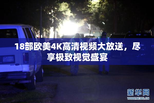 18部欧美4K高清视频大放送，尽享极致视觉盛宴