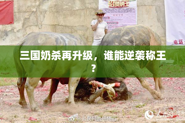 三国奶杀再升级，谁能逆袭称王？