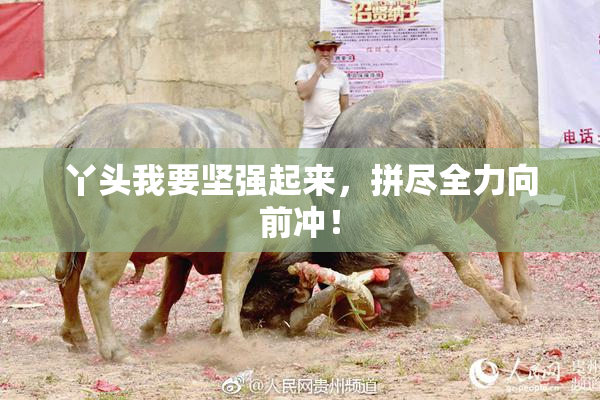 丫头我要坚强起来，拼尽全力向前冲！