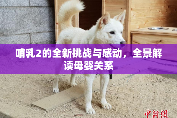 哺乳2的全新挑战与感动，全景解读母婴关系