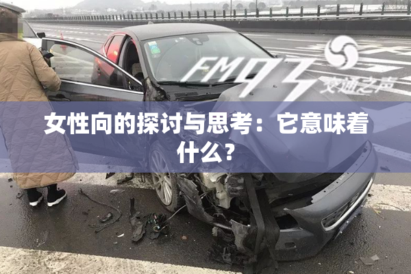 女性向的探讨与思考：它意味着什么？