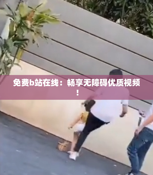 免费b站在线：畅享无障碍优质视频！