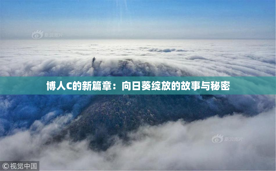 博人C的新篇章：向日葵绽放的故事与秘密