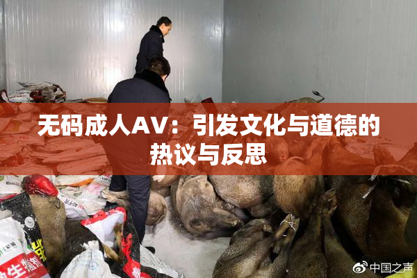 无码成人AV：引发文化与道德的热议与反思