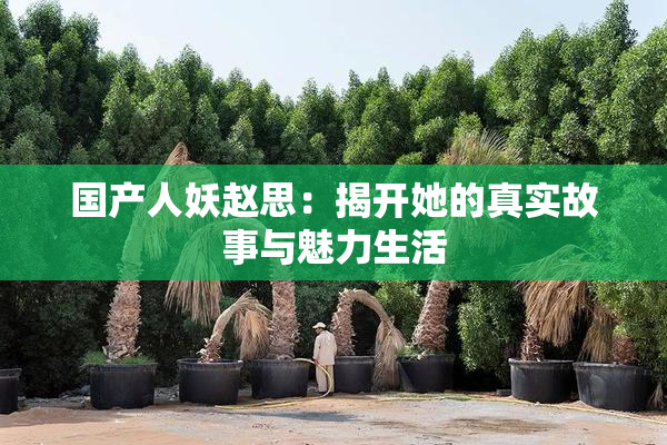 国产人妖赵思：揭开她的真实故事与魅力生活