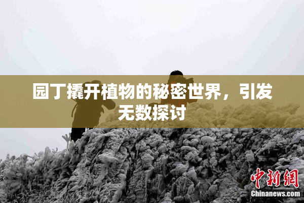 园丁撬开植物的秘密世界，引发无数探讨