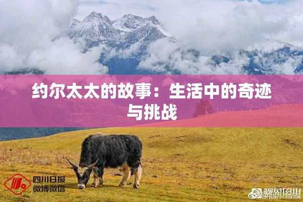 约尔太太的故事：生活中的奇迹与挑战
