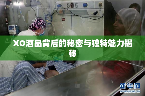 XO酒品背后的秘密与独特魅力揭秘