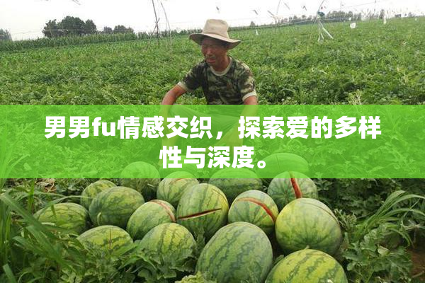 男男fu情感交织，探索爱的多样性与深度。