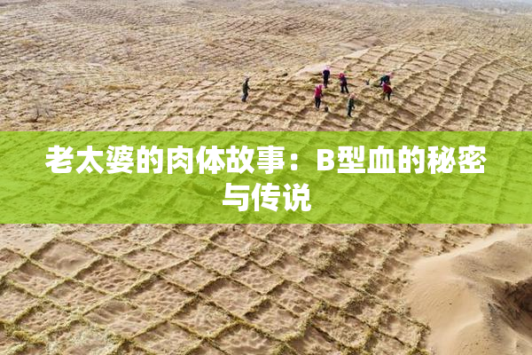 老太婆的肉体故事：B型血的秘密与传说