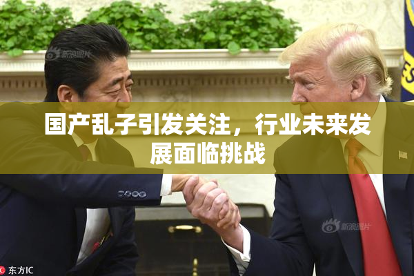 国产乱子引发关注，行业未来发展面临挑战