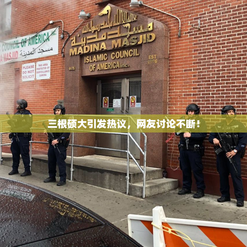 三根硕大引发热议，网友讨论不断！