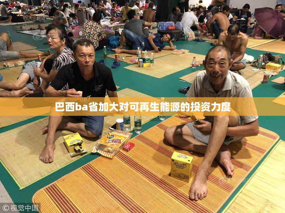 巴西ba省加大对可再生能源的投资力度