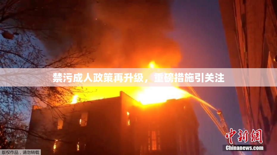禁污成人政策再升级，重磅措施引关注