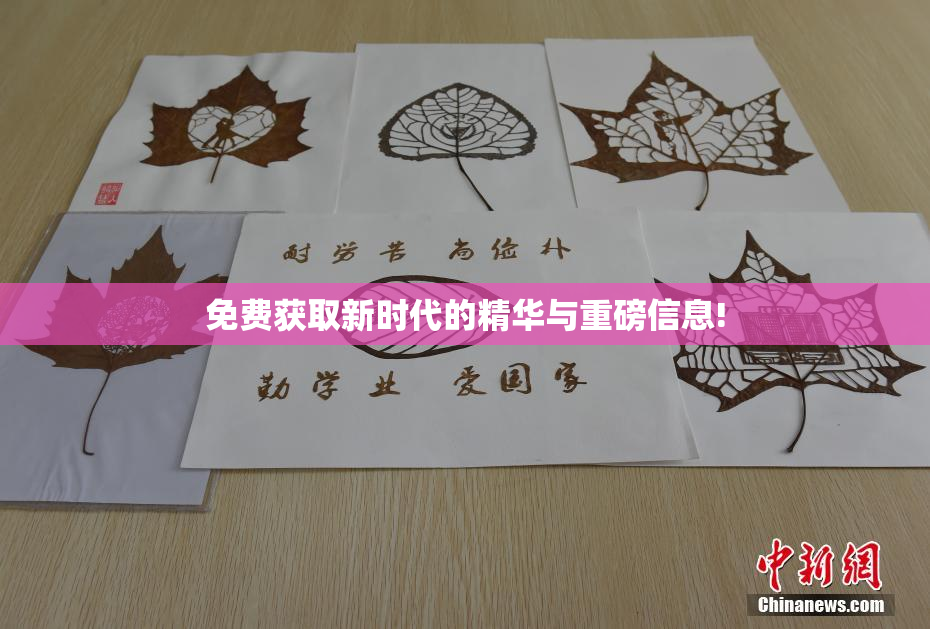 免费获取新时代的精华与重磅信息!