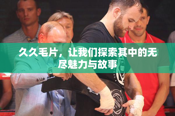 久久毛片，让我们探索其中的无尽魅力与故事