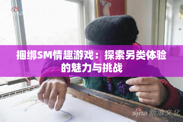 捆绑SM情趣游戏：探索另类体验的魅力与挑战