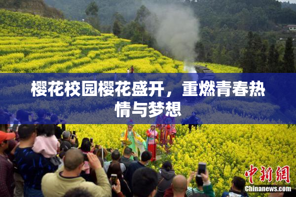 樱花校园樱花盛开，重燃青春热情与梦想