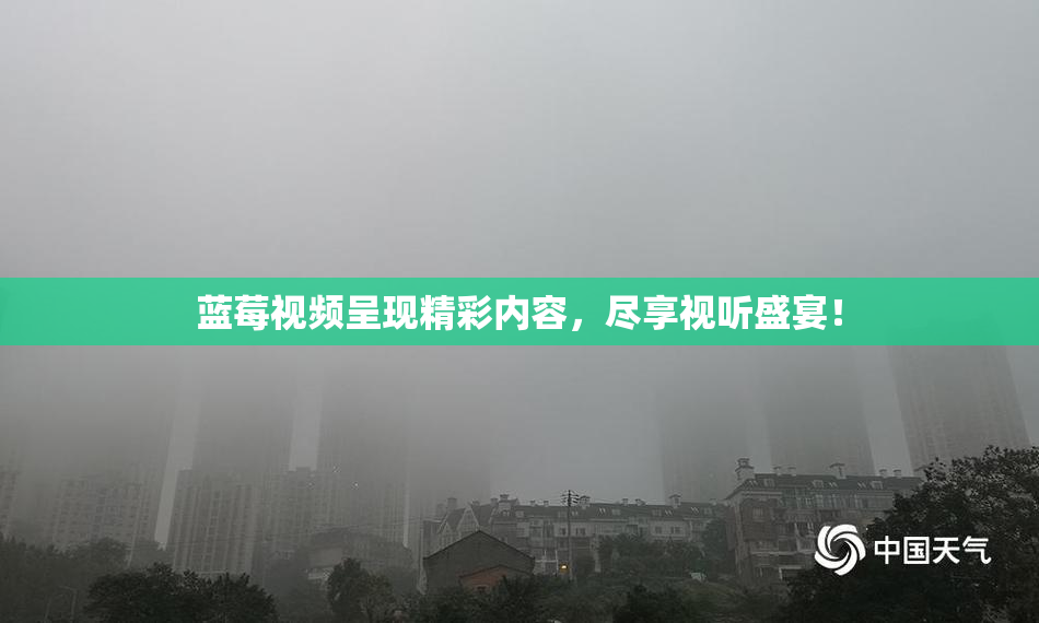 蓝莓视频呈现精彩内容，尽享视听盛宴！