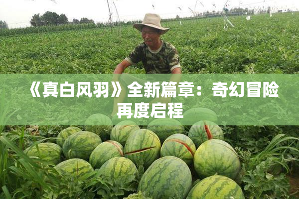 《真白风羽》全新篇章：奇幻冒险再度启程