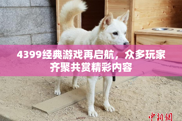 4399经典游戏再启航，众多玩家齐聚共赏精彩内容