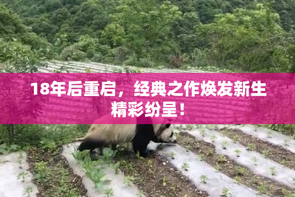 18年后重启，经典之作焕发新生精彩纷呈！