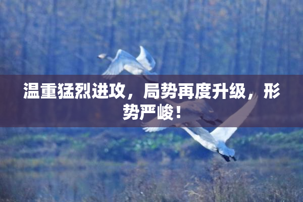 温重猛烈进攻，局势再度升级，形势严峻！