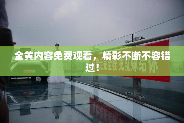 全黄内容免费观看，精彩不断不容错过！