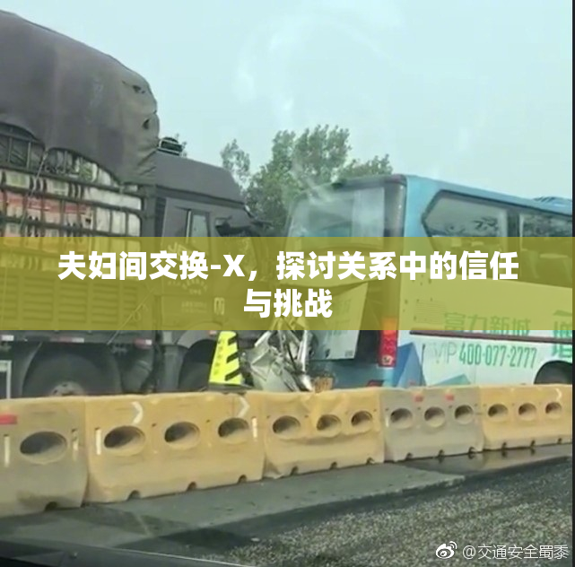 夫妇间交换-X，探讨关系中的信任与挑战