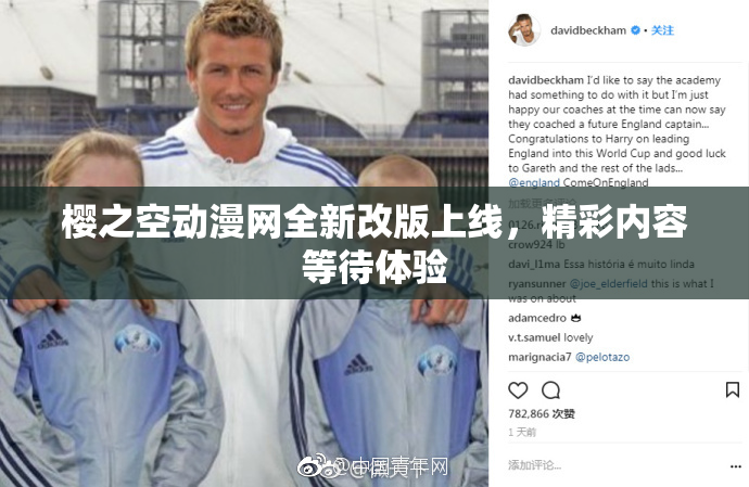 樱之空动漫网全新改版上线，精彩内容等待体验