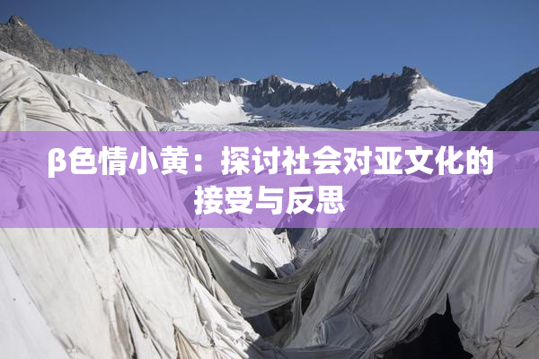 β色情小黄：探讨社会对亚文化的接受与反思