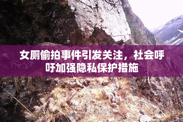 女厕偷拍事件引发关注，社会呼吁加强隐私保护措施
